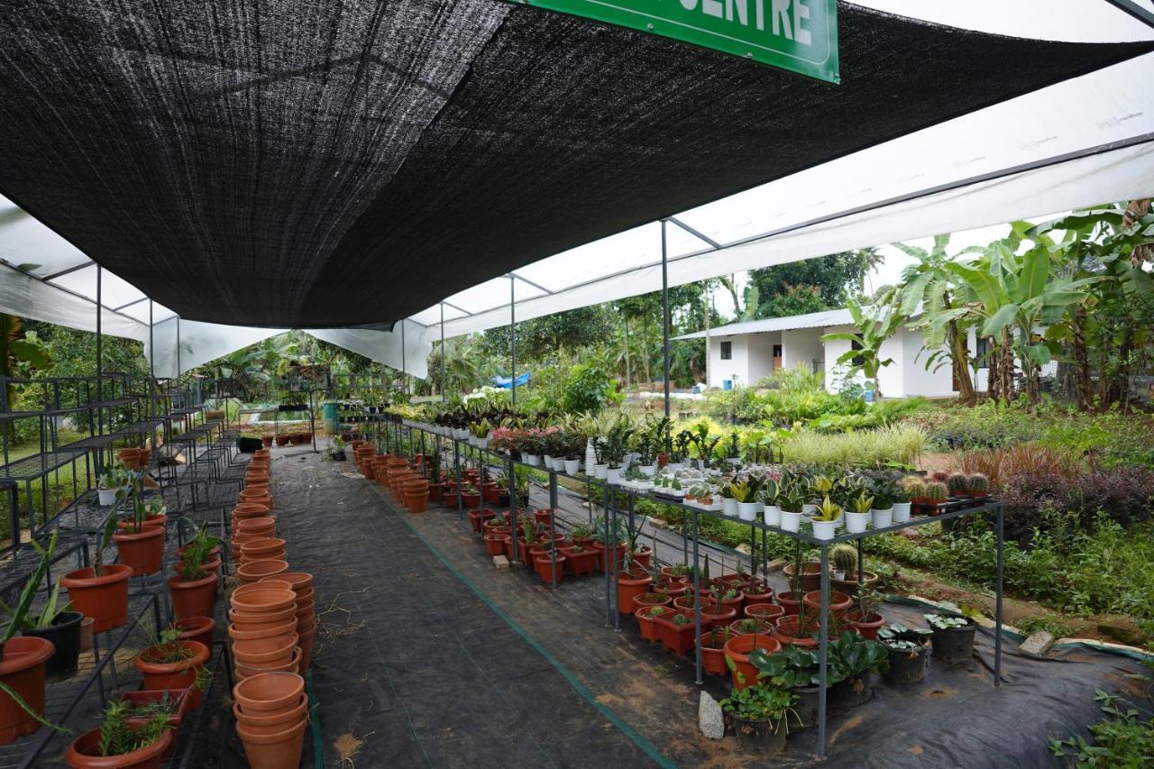 Carmel Tourism Village Kotamangalam Exteriör bild